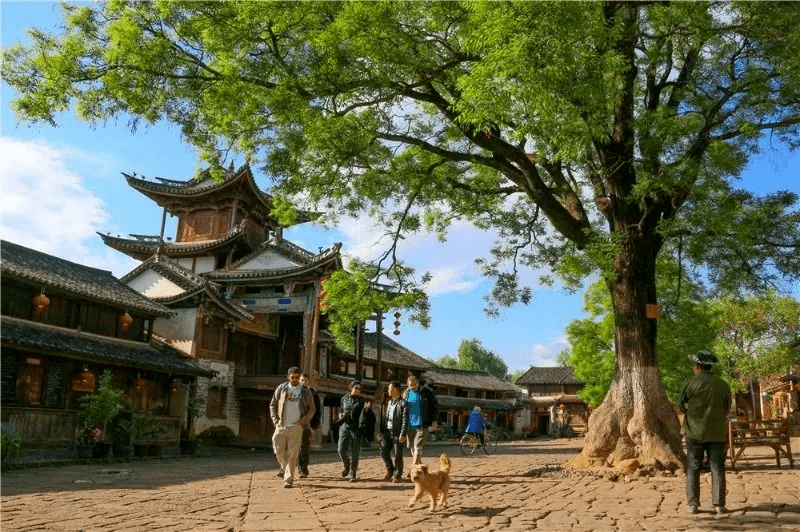 云南的乡村旅行，如此的诗情画意