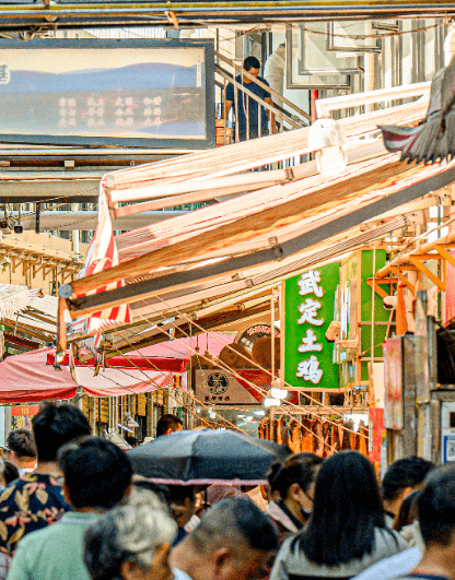 云南的乡村旅行，如此的诗情画意