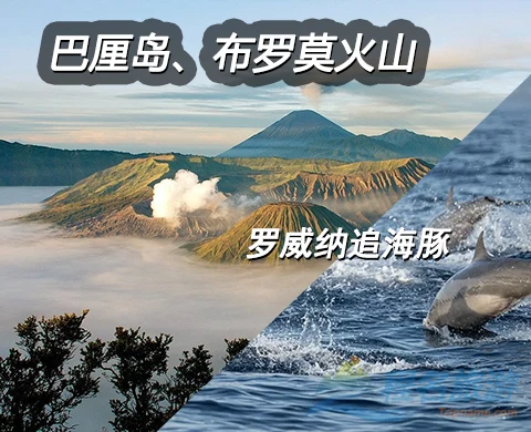 巴厘岛火山海豚